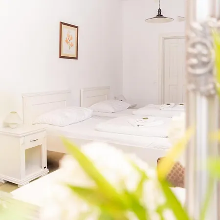 Koraceva Kuca 3* Gruda