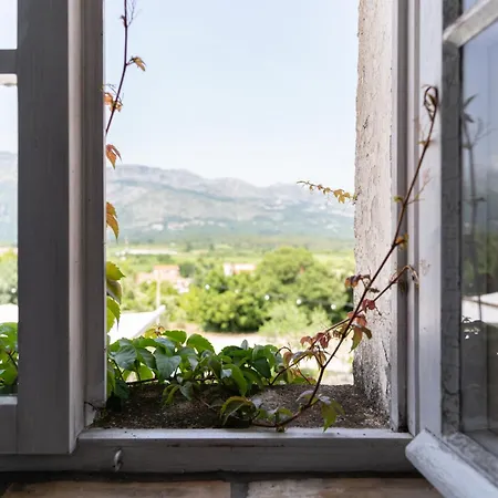 Πανσιόν Koraceva Kuca