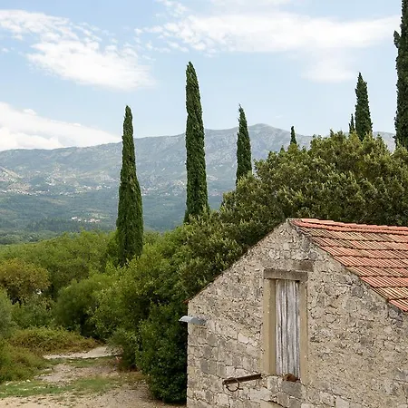 Koraceva Kuca Πανσιόν Gruda